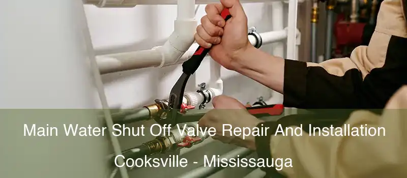 Main Water Shut Off Valve Repair And Installation Cooksville - Mississauga